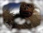 Yeti_kl