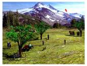 Paradies_kl