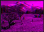 Stereo_kl